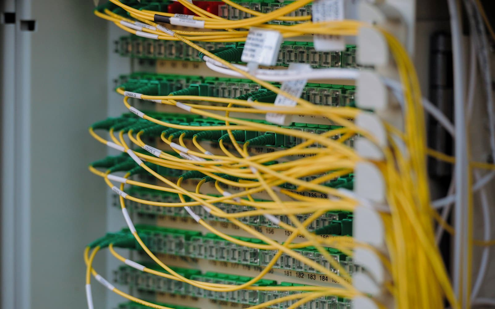 Neatly patched network cabling in a data centre, standing for standardised endpoint connections.
